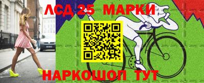 индика Протвино