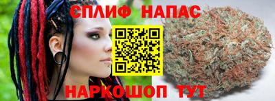 индика Протвино
