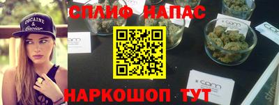 индика Протвино