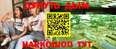 индика Протвино