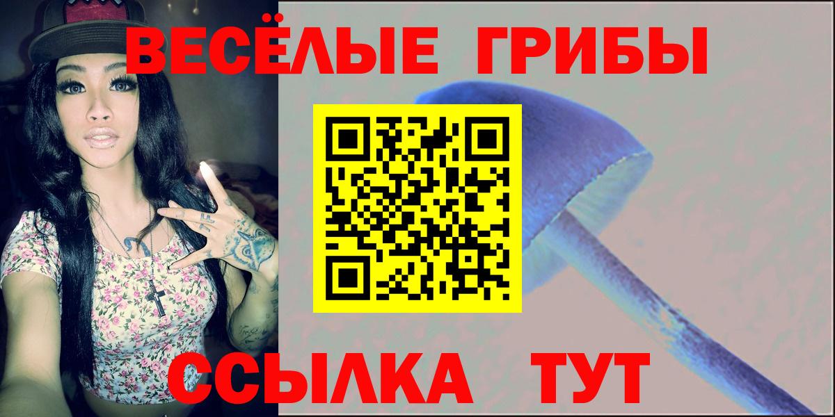 Боровичи  Псилоцибиновые грибы мицелий  Вход с VPN 