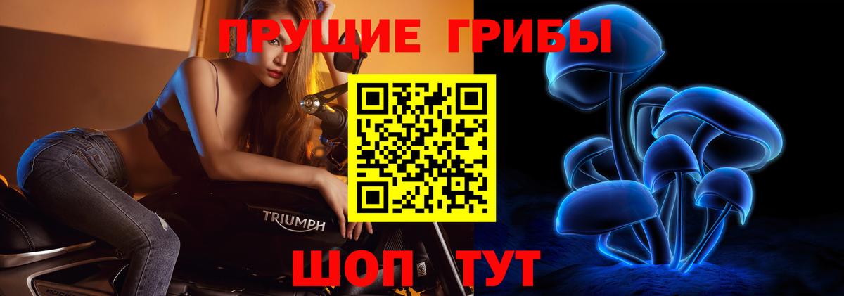 Псилоцибиновые грибы мухоморы Боровичи